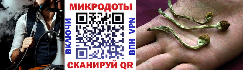 что такое наркотик  Чишмы  Галлюциногенные грибы GOLDEN TEACHER 